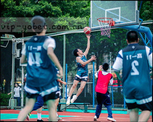 新入库比赛报告的网格化缩略图